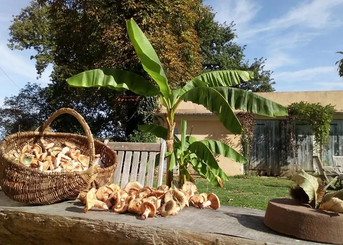 Clos Du Gaja Pres De Jazz In Marciac بيت ضيافة Troncens