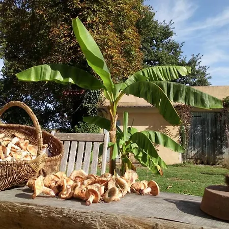 Clos Du Gaja Pres De Jazz In Marciac بيت ضيافة Troncens